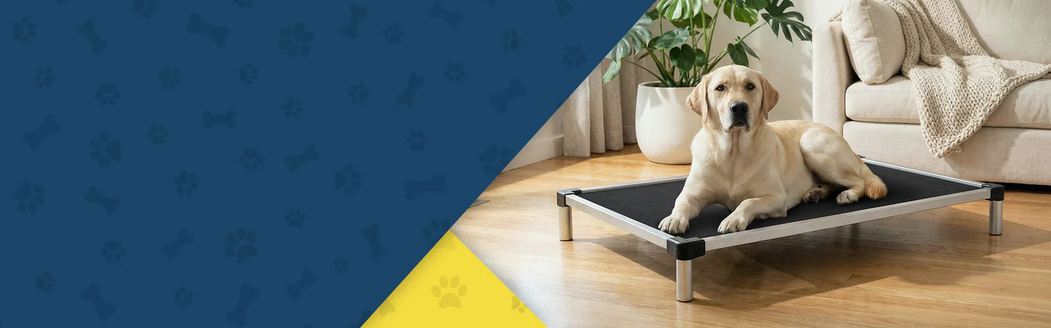 Indestructible Comfort for Every Dog