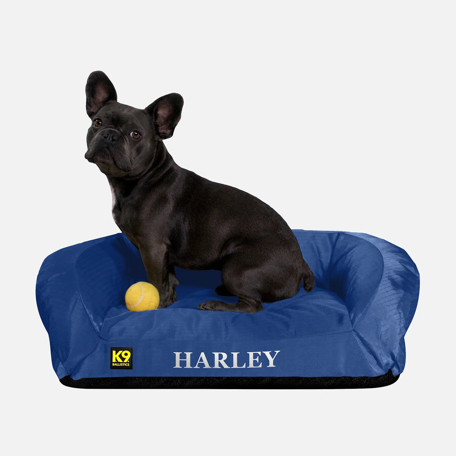Chew Proof & Tough Dog Beds